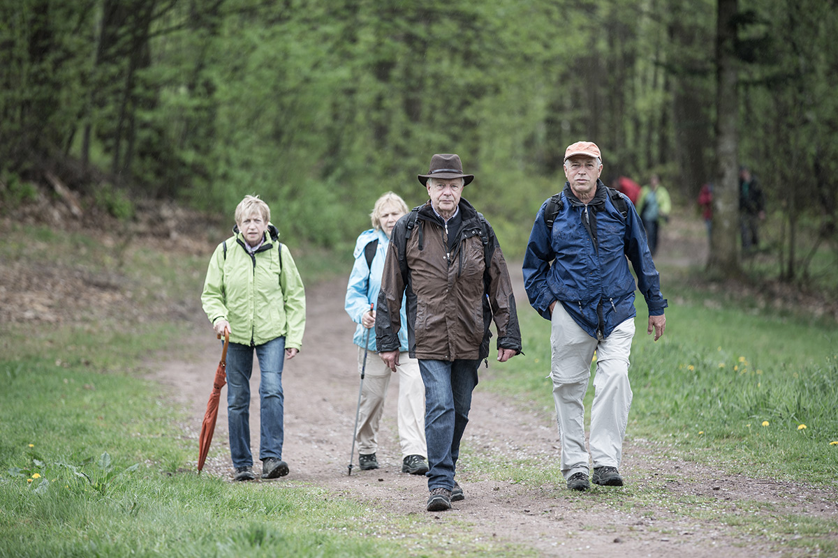 Wandern Brennersteig Oberkirch Wandern Brennersteig Oberkirch